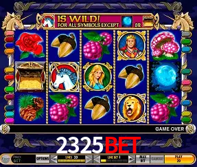 Desvendando o Mundo dos Jogos Virtuais na 2325bet
